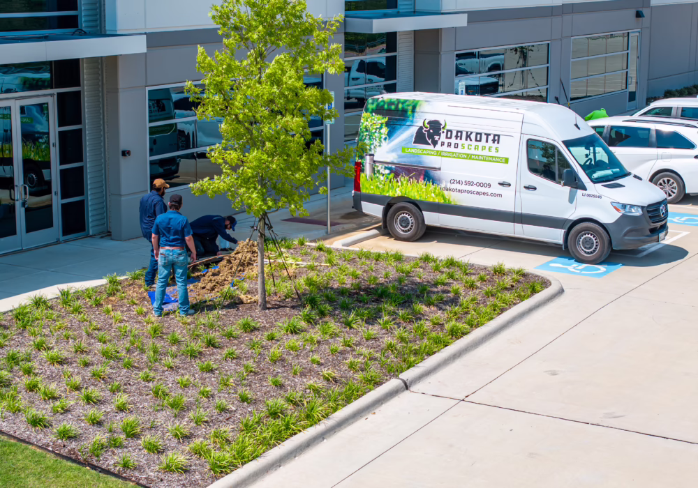 Landscapers working near a van in a parking lot, planting and maintaining greenery next to a modern building.