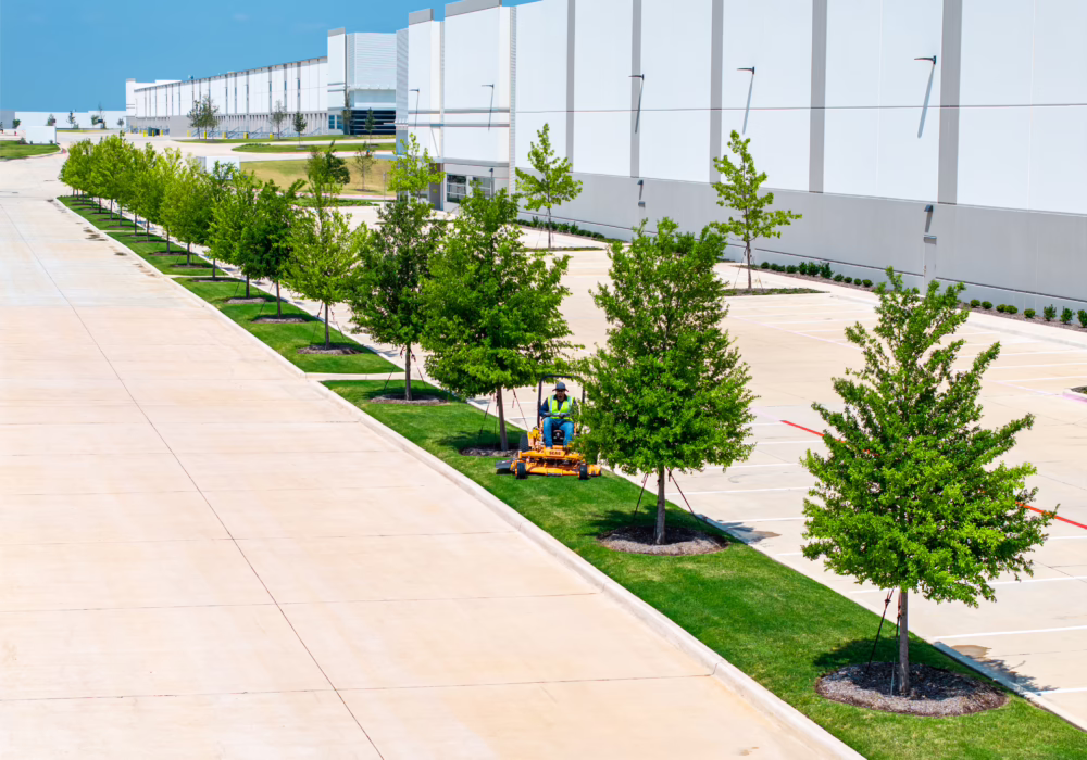 Person mowing grass along a row of trees beside a large industrial building under a clear blue sky.